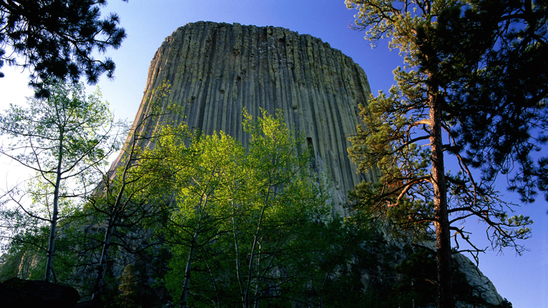 about wyoming, information on wyoming, wyoming, wyoming activities, wyoming climate, wyoming culture, wyoming economy, wyoming offshore financial services, wyoming geography, wyoming history