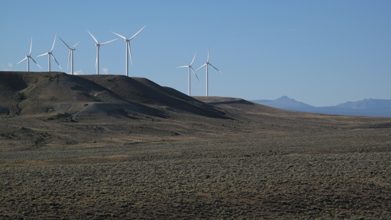 Stacks Image 9920