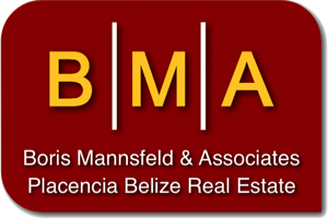 asset protection, asset protection services, bank account introductions, business corporations, charging order protection, citizenship by investment, company formations, corporate services, corporations, dual citizenship, economic citizenship, estate planning, foundations, international business companies, land trusts, liability protection, limited liability companies, limited partnerships, living trusts, offshore incorporation, registered offices, resident agents, second passports, tax strategies, trusts